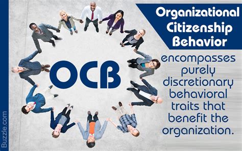 OCB (Organizational Citizenship Behavior) .